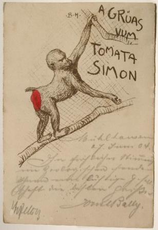 A gr�as vum Tomata Simon