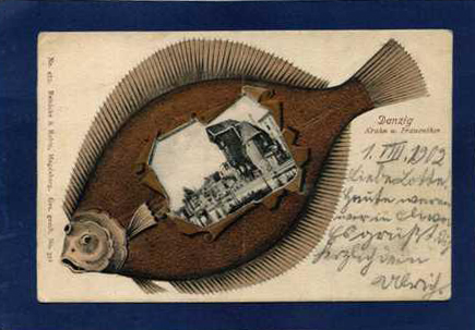 Danziger Flunder mit Krahn u. Frauenthor